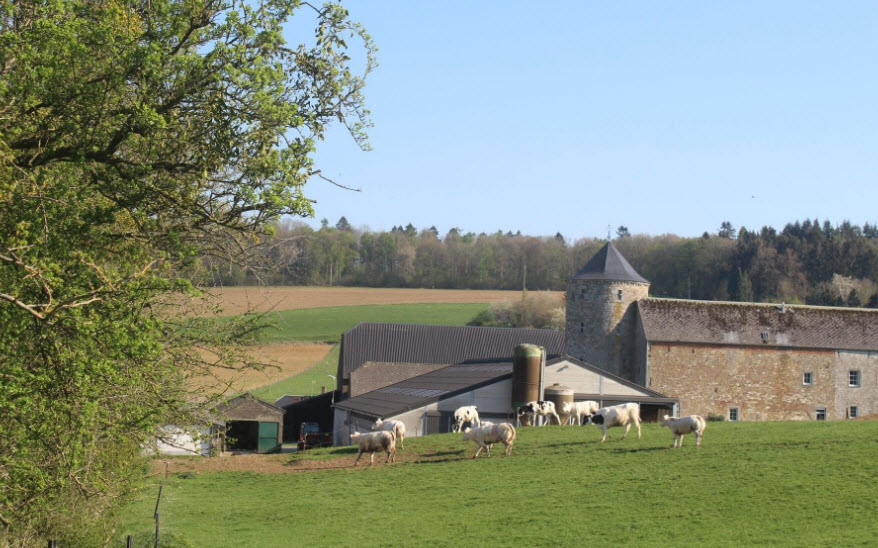 Château de Porcheresse, Belgium